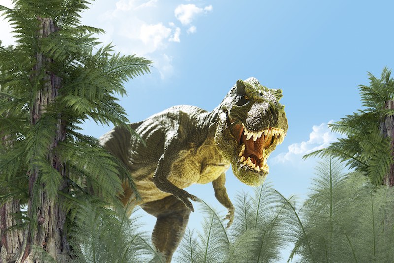 今年の夏も恐竜がアツい！古いようで新しい？恐竜トリビア＆期間限定イベント５選