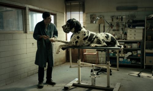 イタリア版「冷たい熱帯魚」?!/闇を抱えた男による実際の殺人事件をモチーフにした映画『ドッグマン』が23日から日本公開!!